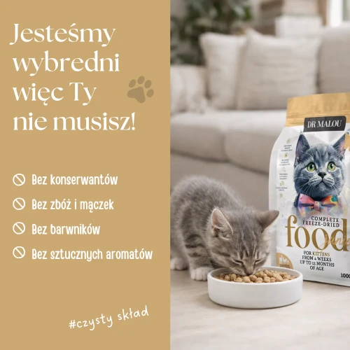 58.webp