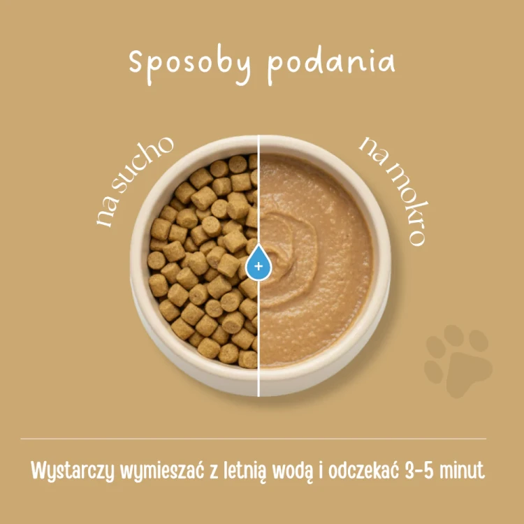 59.webp
