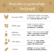 84_4047fb37-3b19-4590-9a81-76e9c6b406d3.webp