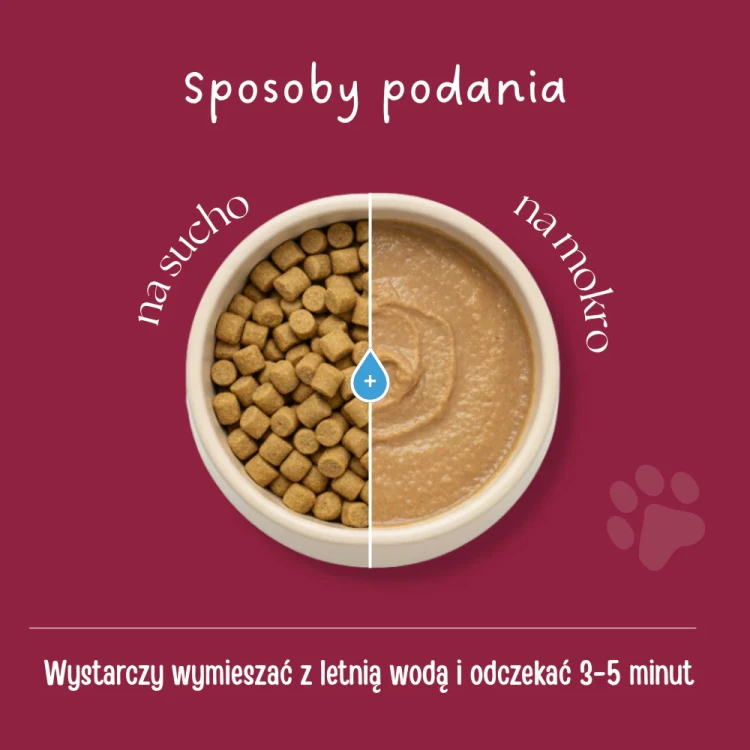 Karma_dla_psa_kaczka_2.webp