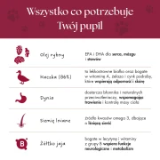 Karma_dla_psa_kaczka_5_53e60ade-7bff-412d-8afc-bf50d76807b2.webp