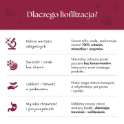 Karma_dla_psa_kaczka_7_d89d4963-f584-4128-82c9-2331f85dac2d.webp