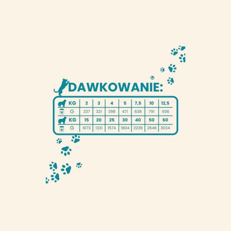 Sklep zdjęcia - 2026-06-19T113640.478.png